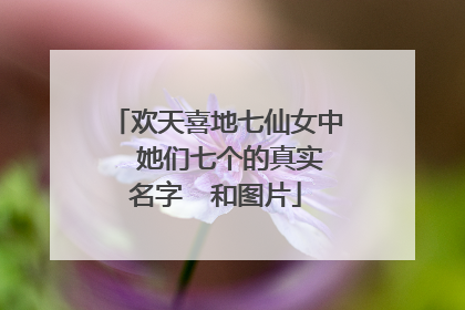 欢天喜地七仙女中 她们七个的真实名字 和图片