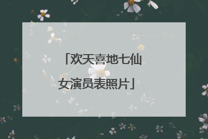 欢天喜地七仙女演员表照片