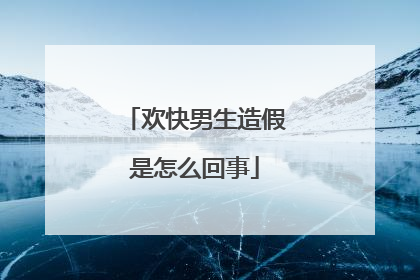 欢快男生造假是怎么回事