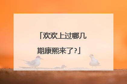 欢欢上过哪几期康熙来了?