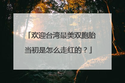 欢迎台湾最美双胞胎当初是怎么走红的?