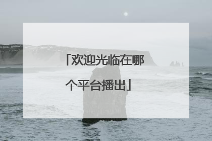 欢迎光临在哪个平台播出