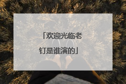 欢迎光临老钉是谁演的