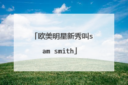 欧美明星新秀叫sam smith