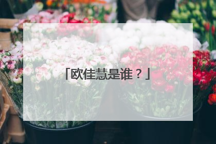 欧佳慧是谁?