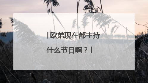 欧弟现在都主持什么节目啊？