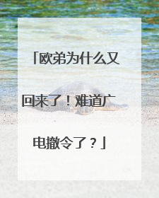 欧弟为什么又回来了!难道广电撤令了?
