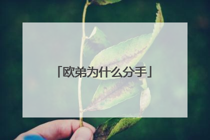 欧弟为什么分手