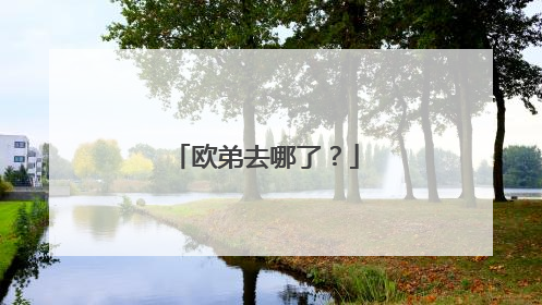 欧弟去哪了？