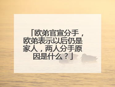 欧弟官宣分手，欧弟表示以后仍是家人，两人分手原因是什么？