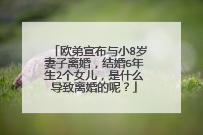 欧弟宣布与小8岁妻子离婚，结婚6年生2个女儿，是什么导致离婚的呢？