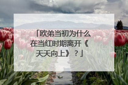 欧弟当初为什么在当红时期离开《天天向上》?