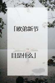 欧弟新节目是什么