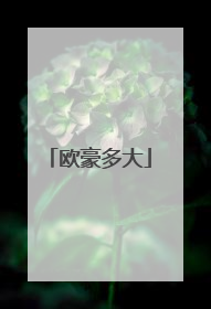 欧豪多大