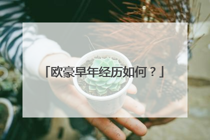 欧豪早年经历如何？