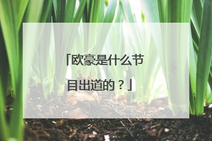 欧豪是什么节目出道的？