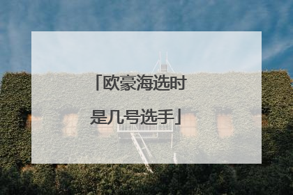 欧豪海选时 是几号选手