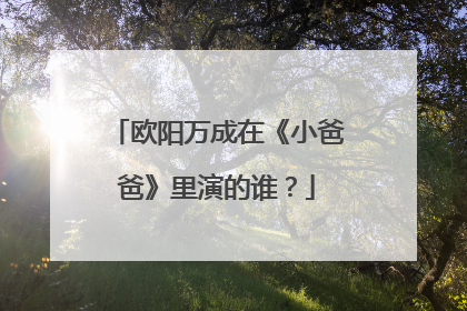 欧阳万成在《小爸爸》里演的谁?