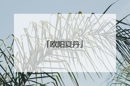 欧阳夏丹