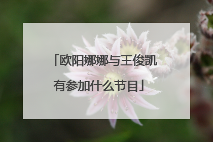 欧阳娜娜与王俊凯有参加什么节目
