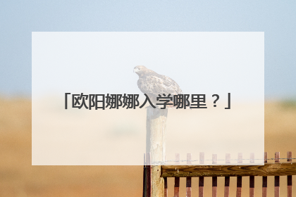 欧阳娜娜入学哪里？