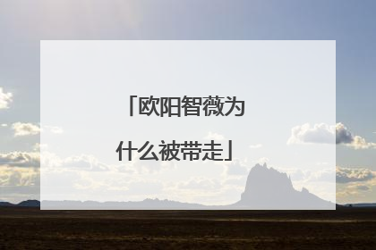 欧阳智薇为什么被带走