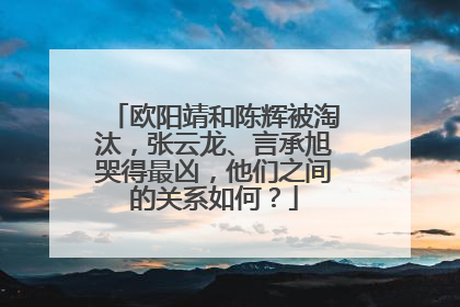 欧阳靖和陈辉被淘汰,张云龙、言承旭哭得最凶,他们之间的关系如何?