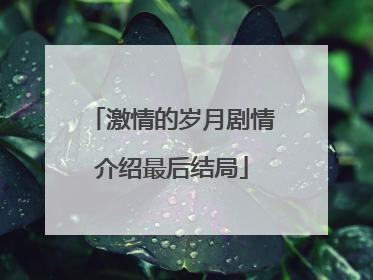 激情的岁月剧情介绍最后结局