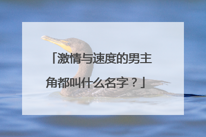 激情与速度的男主角都叫什么名字？