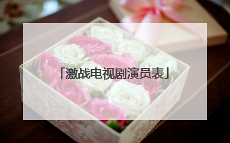 激战电视剧演员表