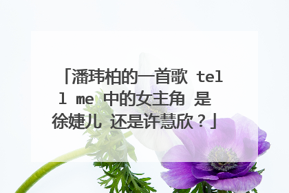 潘玮柏的一首歌 tell me 中的女主角 是徐婕儿 还是许慧欣?