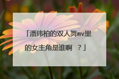 潘玮柏的双人舞mv里的女主角是谁啊 ？