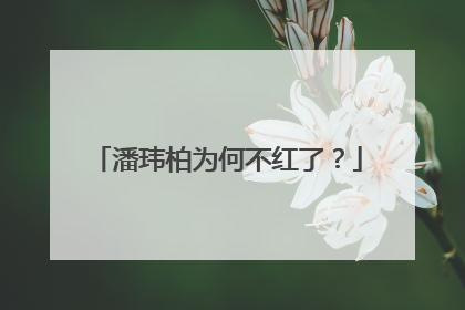 潘玮柏为何不红了?