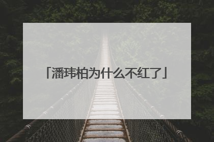 潘玮柏为什么不红了