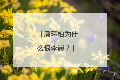 潘玮柏为什么恨李晨?