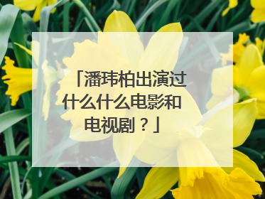 潘玮柏出演过什么什么电影和电视剧？