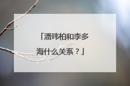 潘玮柏和李多海什么关系？