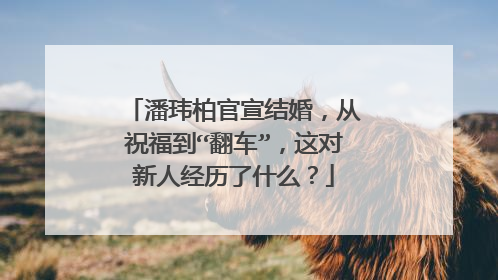潘玮柏官宣结婚，从祝福到“翻车”，这对新人经历了什么？