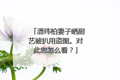 潘玮柏妻子晒厨艺被扒用盗图。对此您怎么看？