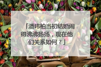 潘玮柏当初结婚闹得沸沸扬扬，现在他们关系如何？