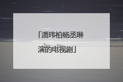 潘玮柏杨丞琳演的电视剧