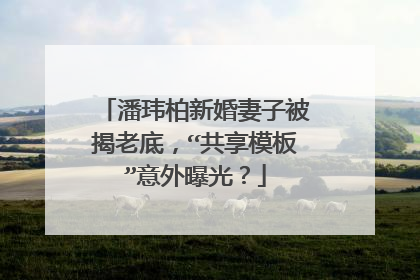潘玮柏新婚妻子被揭老底,“共享模板”意外曝光?