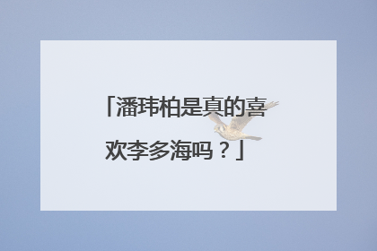 潘玮柏是真的喜欢李多海吗？