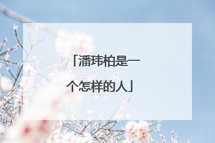 潘玮柏是一个怎样的人