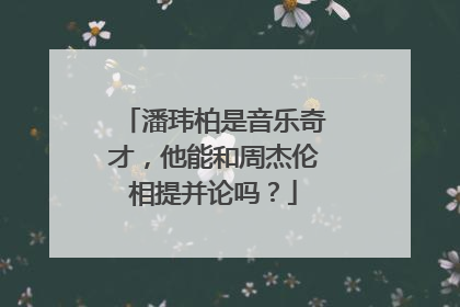 潘玮柏是音乐奇才，他能和周杰伦相提并论吗？