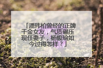 潘玮柏曾经的正牌千金女友，气质碾压现任妻子，杨馥瑜如今过得怎样？