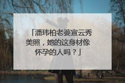 潘玮柏老婆宣云秀美照,她的这身材像怀孕的人吗?