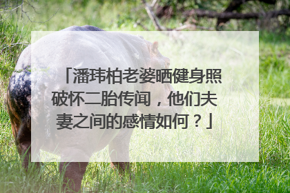 潘玮柏老婆晒健身照破怀二胎传闻,他们夫妻之间的感情如何?