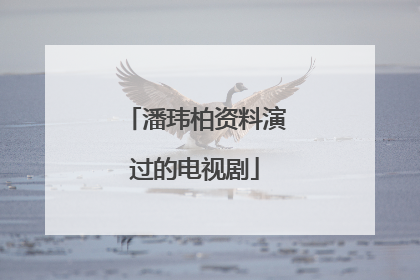 潘玮柏资料演过的电视剧