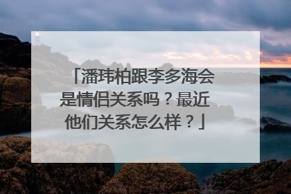 潘玮柏跟李多海会是情侣关系吗？最近他们关系怎么样？